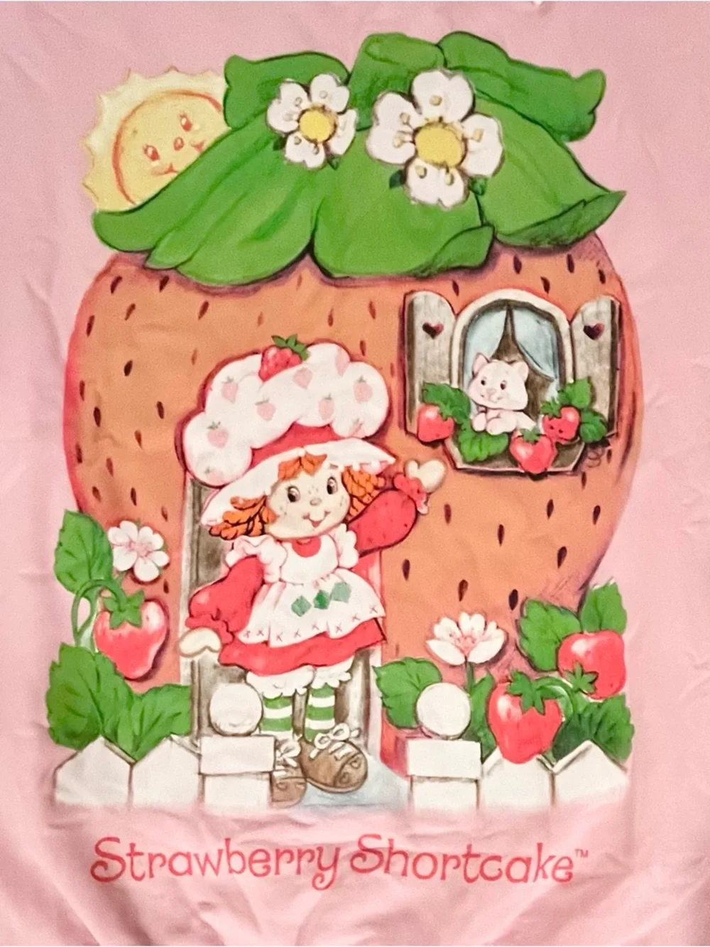 🆕- Retro Nostalgic Strawberry Shortcake Sweatshirt. Size: XS - Picture 4 of 7